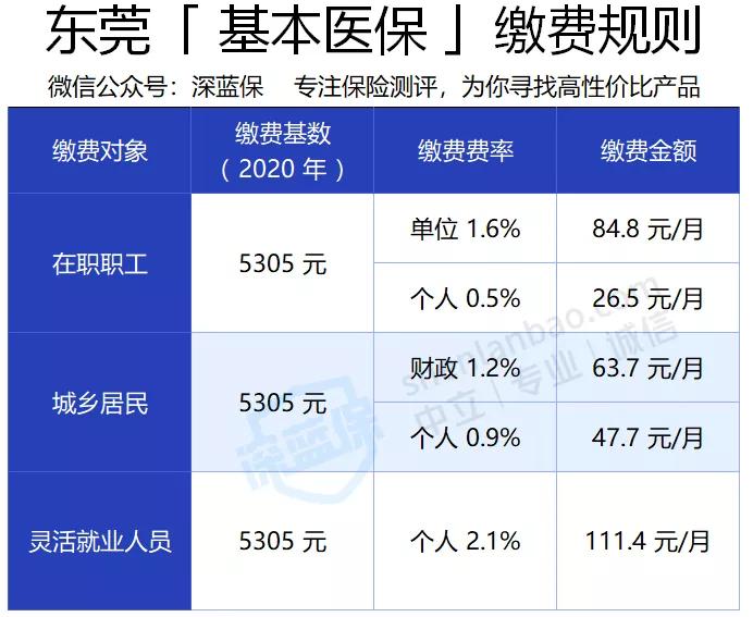 东莞统缴最新消息全面解析