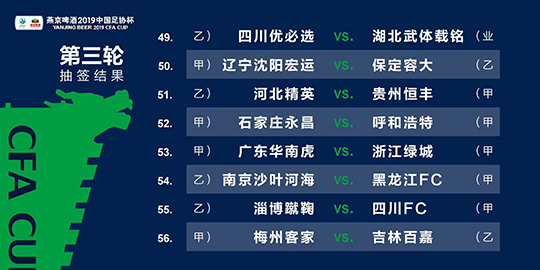 2024澳门天天开好彩精准24码,标准化程序评估_安卓款15.980