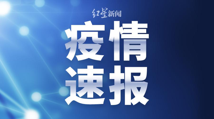 331期澳门开奖结果查询表,最新核心解答落实_网页款31.852