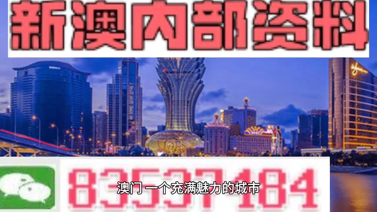 新澳门三期必开一期,实证解读说明_VE版81.767