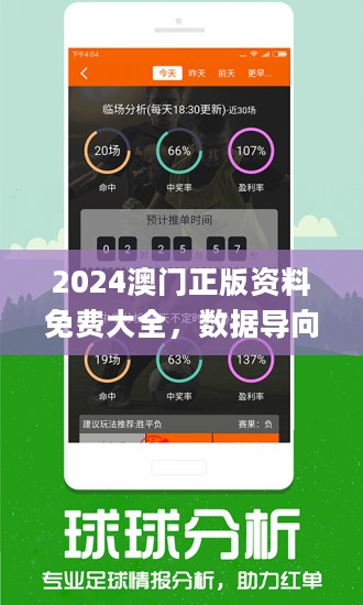 2024年正版资料免费大全特色,实地调研解释定义_vShop45.16