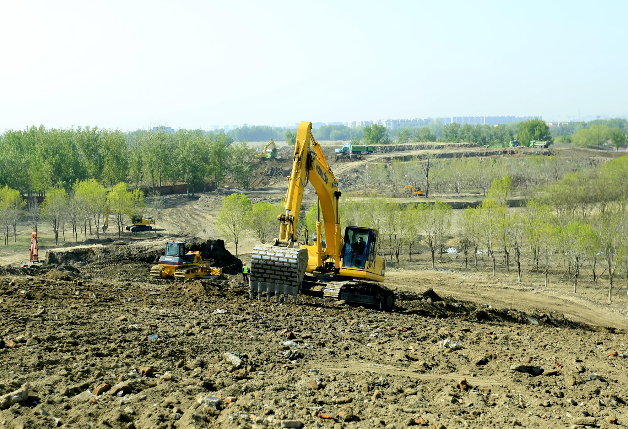 北京南苑森林湿地公园最新动态，生态建设明珠焕新光彩