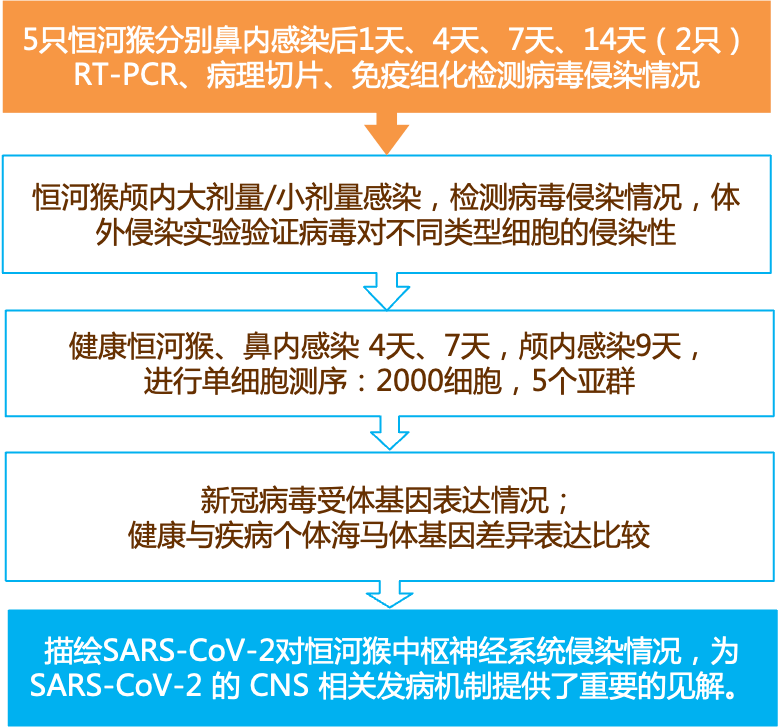 2024新奥精准资料免费大全｜决策资料解释落实