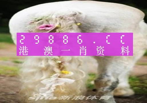 澳门一肖一码一特中今晚,科学分析解析说明_顶级版15.254