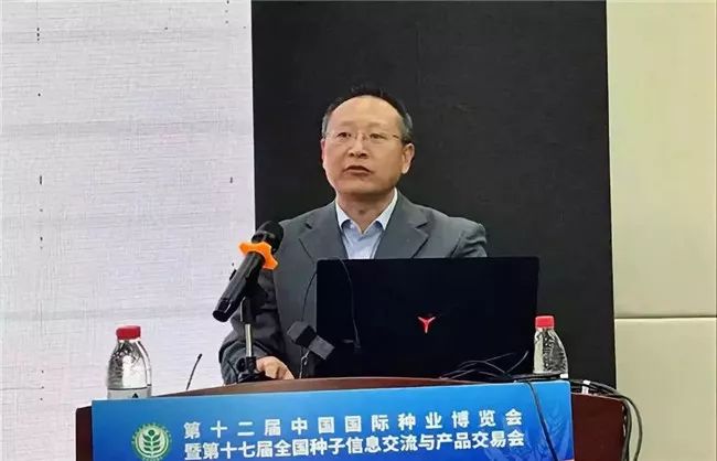 杨明晋迈向新辉煌篇章的最新动向